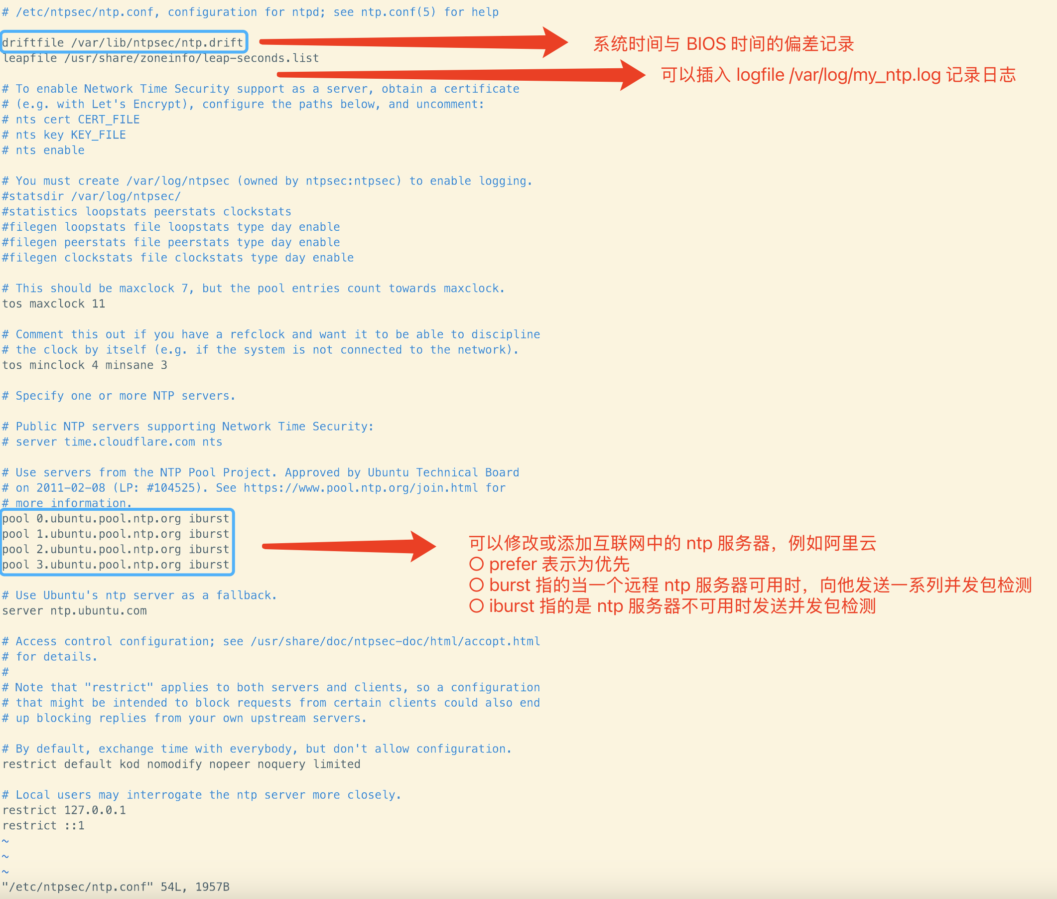 image-20250203115220880